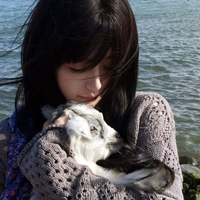 八公犬物语